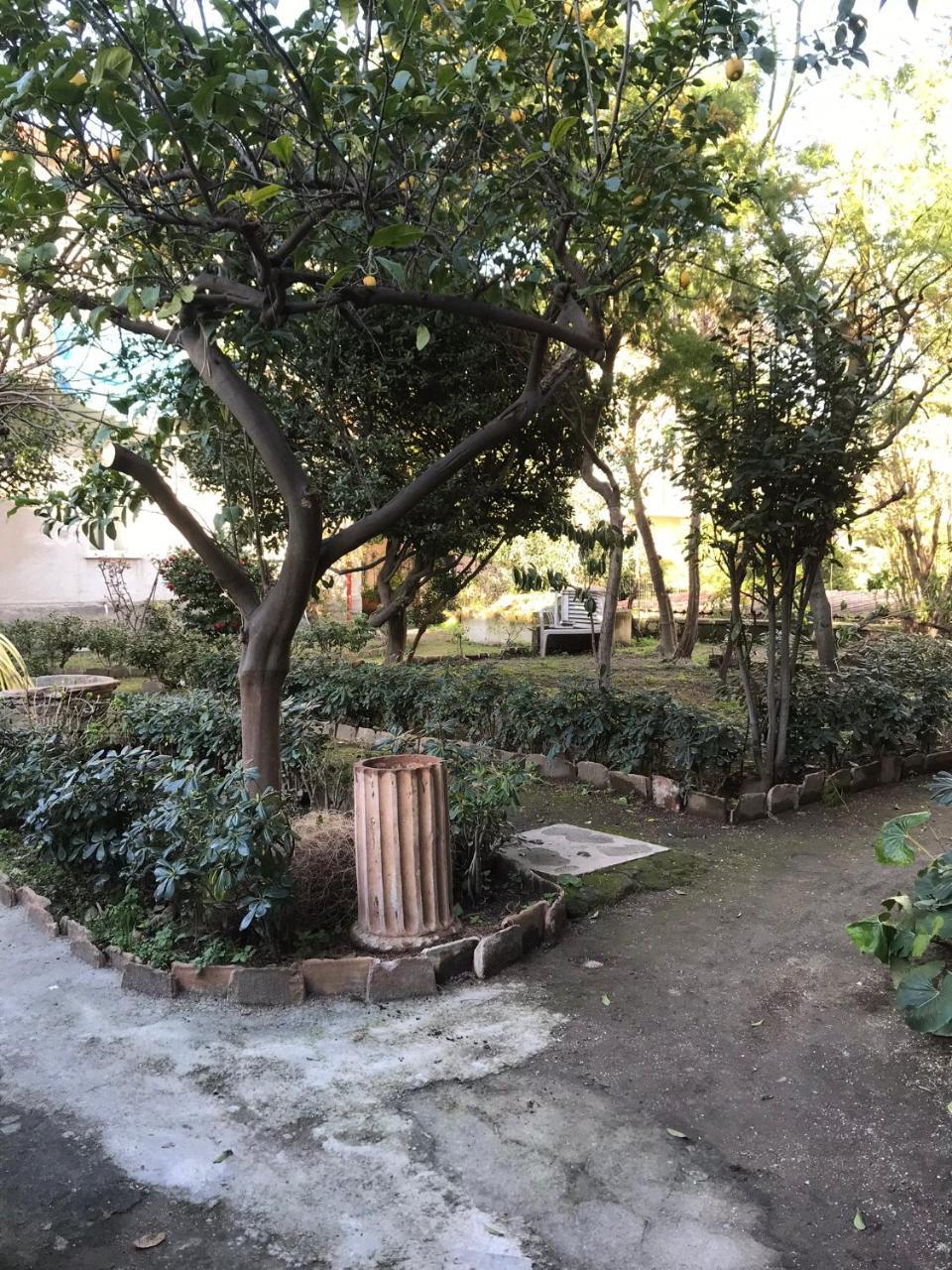 Il Giardino Di Vico Neve Bed and Breakfast Napels Buitenkant foto