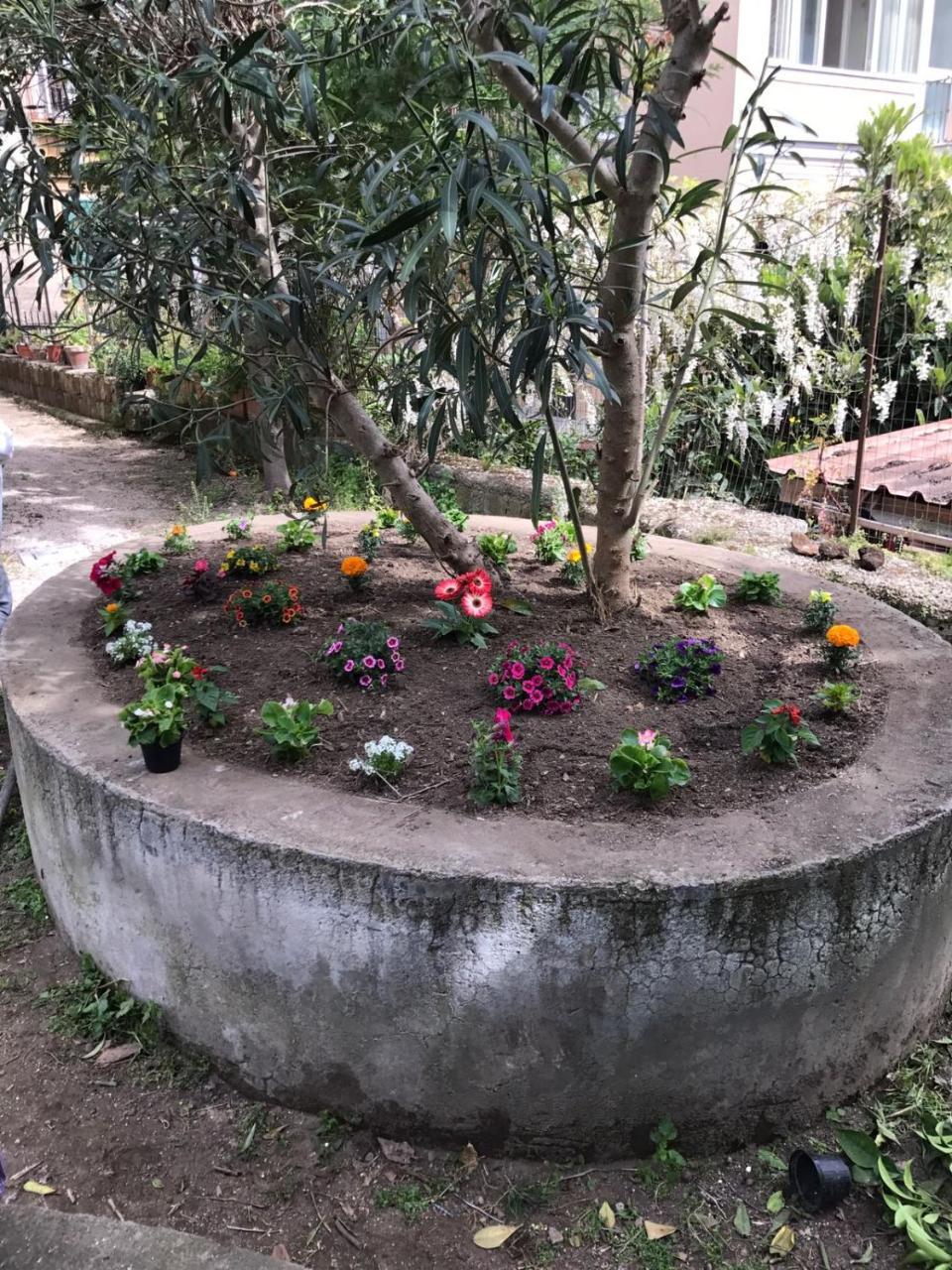 Il Giardino Di Vico Neve Bed and Breakfast Napels Buitenkant foto